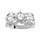 Bague en argent rhodi oxyde blanc et feuillage